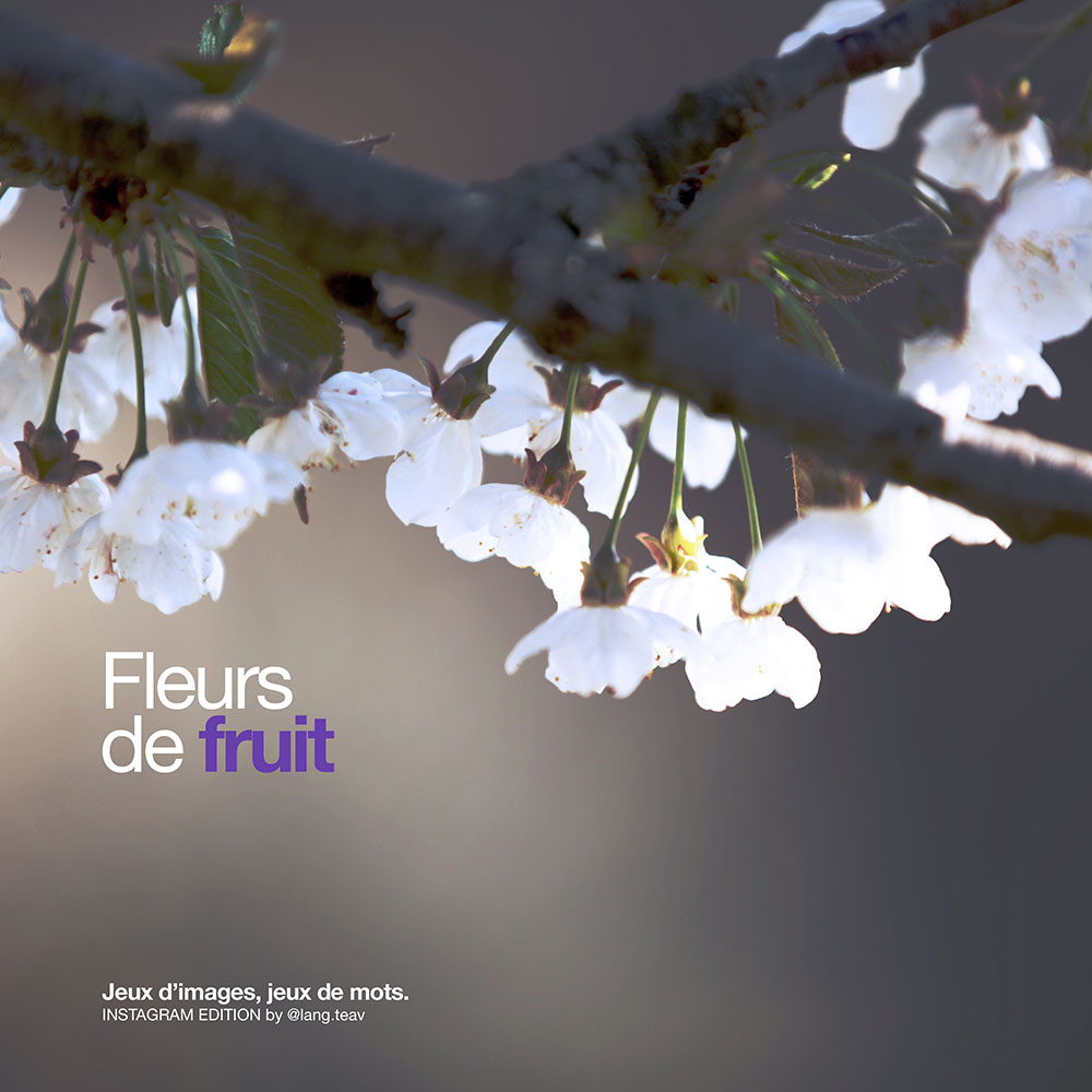 Jeux d'images, jeux de mots - Lang TEAV Jeux d'images, jeux de mots - Lang TEAV