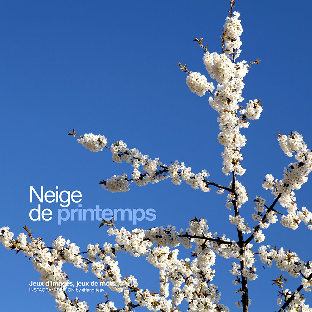 Jeux d'images, jeux de mots - Lang TEAV Jeux d'images, jeux de mots - Lang TEAV